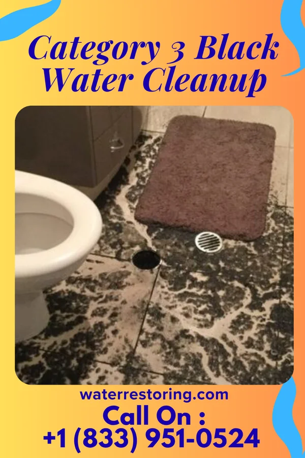 Category 3 Black Water Cleanup in Detroit, OR
