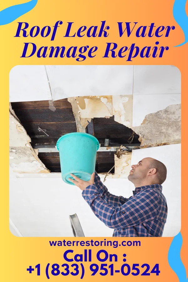 Roof Leak Water Damage Repair in Detroit, OR